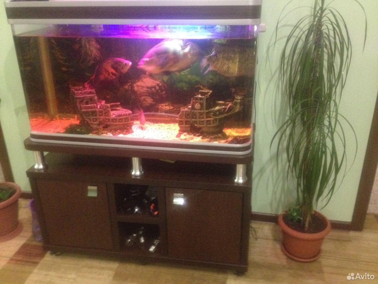Продается аквариум с тумбой и рыбами купить на Зозу.ру - фотография № 7