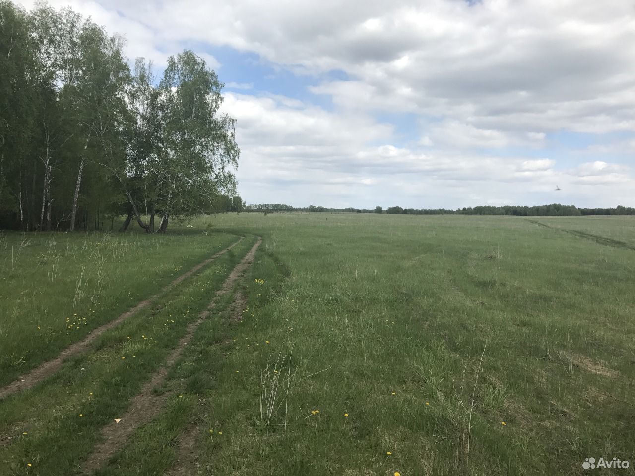 Земельные участки алтайский край. Воздвиженка Алтайский край. Микрорайон Полесье Фирсово. Полесье Фирсово.