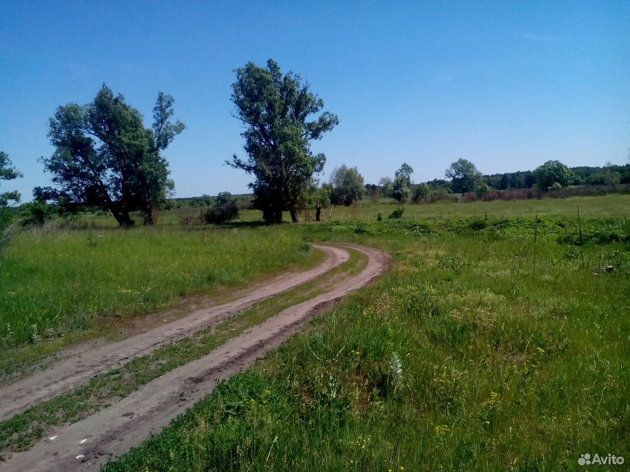 Купить Дом Нижний Икорец Воронежская Область