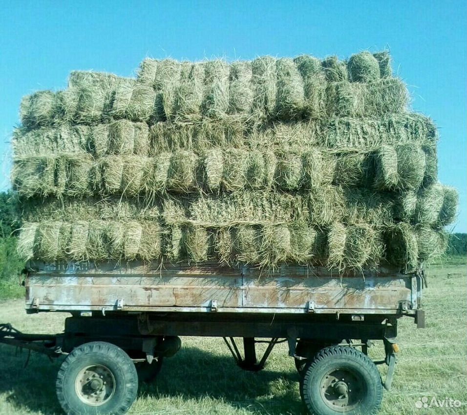 Где Купить Сено С Доставкой