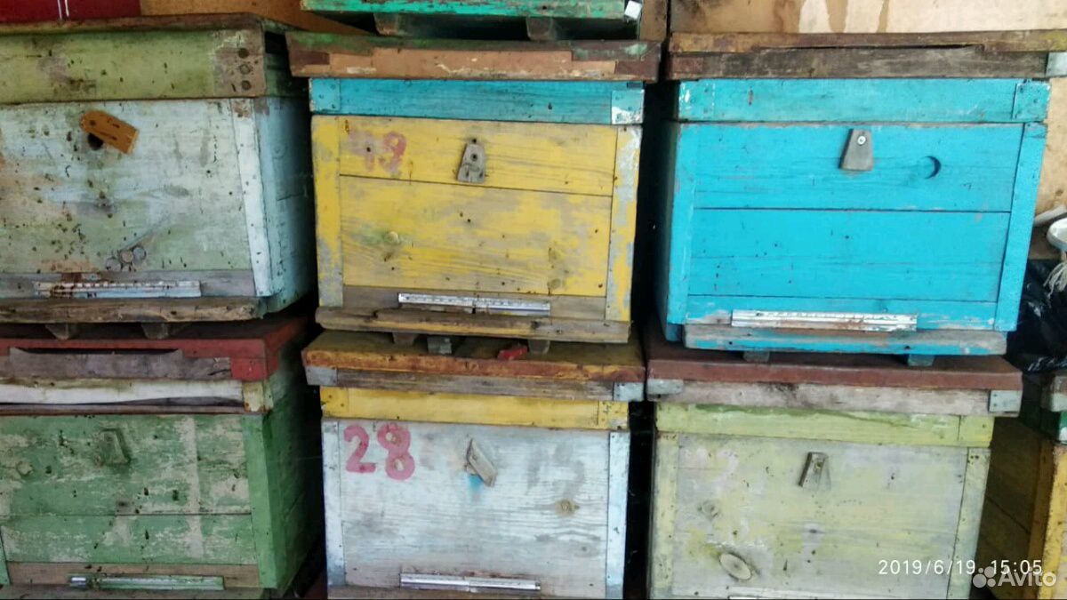 Продаю б/у улья с пчелами и без пчёл купить на Зозу.ру - фотография № 1