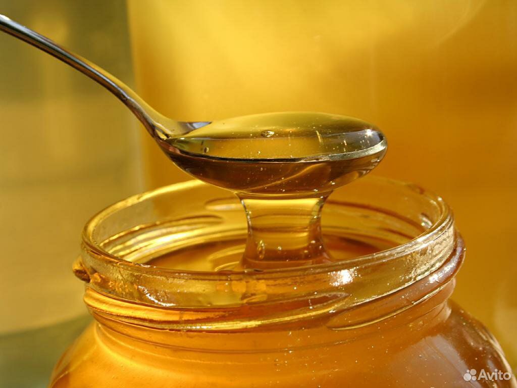 Свежий мёд 2019 года купить на Зозу.ру - фотография № 1