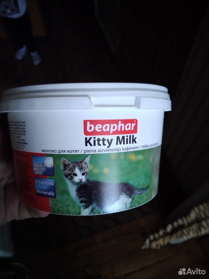 Заместитель грудного молока для котят купить на Зозу.ру - фотография № 1