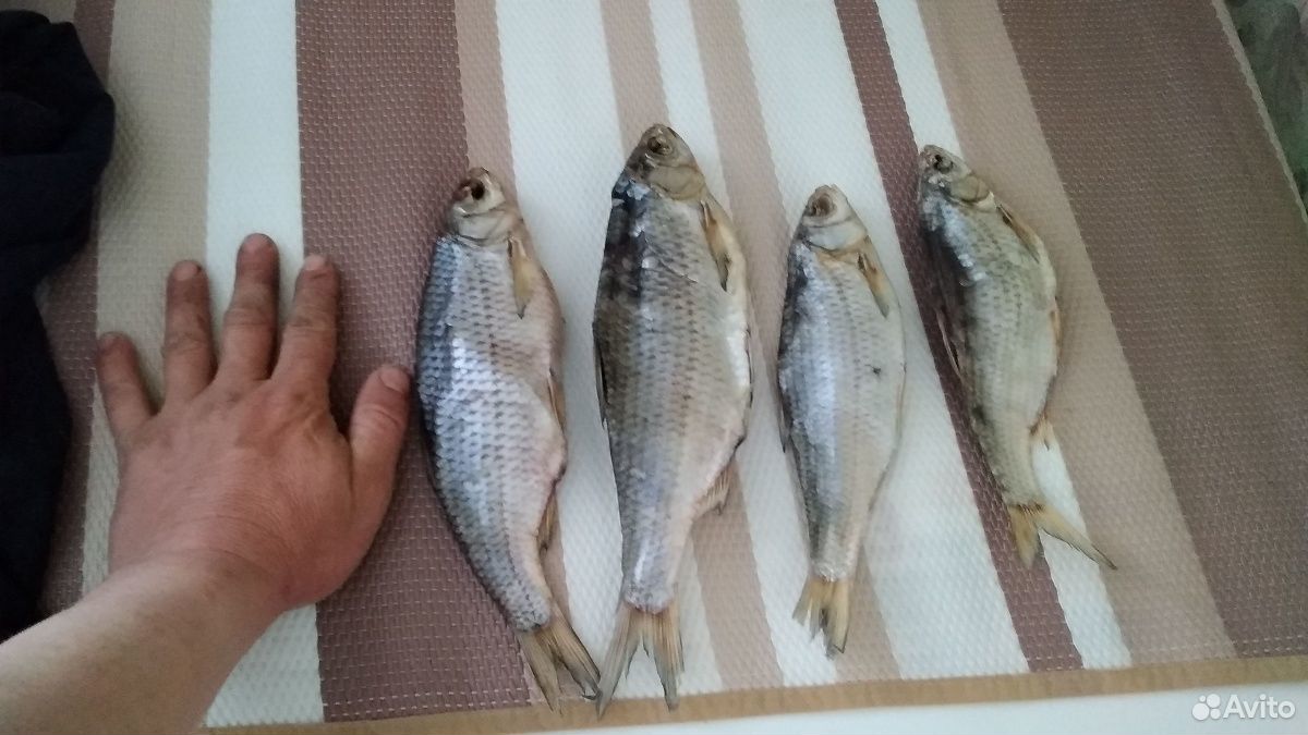 Рыба вобла свежевяленая купить на Зозу.ру - фотография № 1