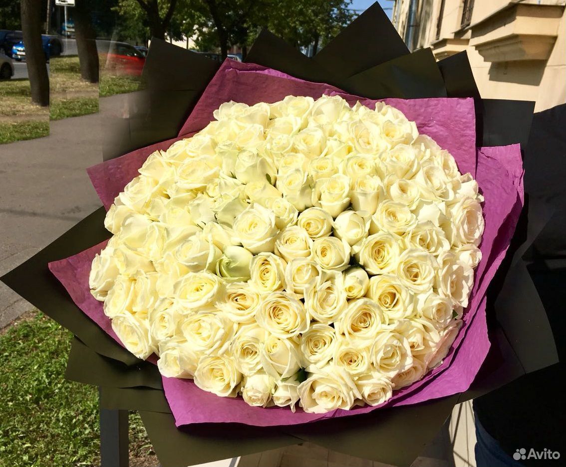 Купить Букет 101 Роза Саратов