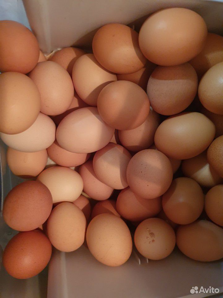 Яйцо деревенское куриное купить на Зозу.ру - фотография № 4