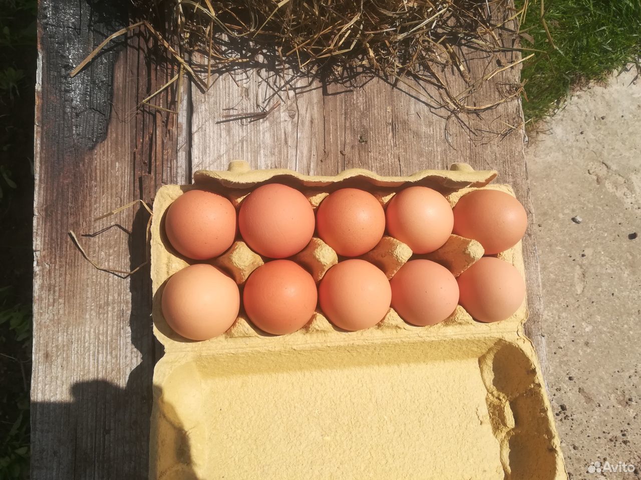 Домашние куриные яйца в Сватково купить на Зозу.ру - фотография № 3