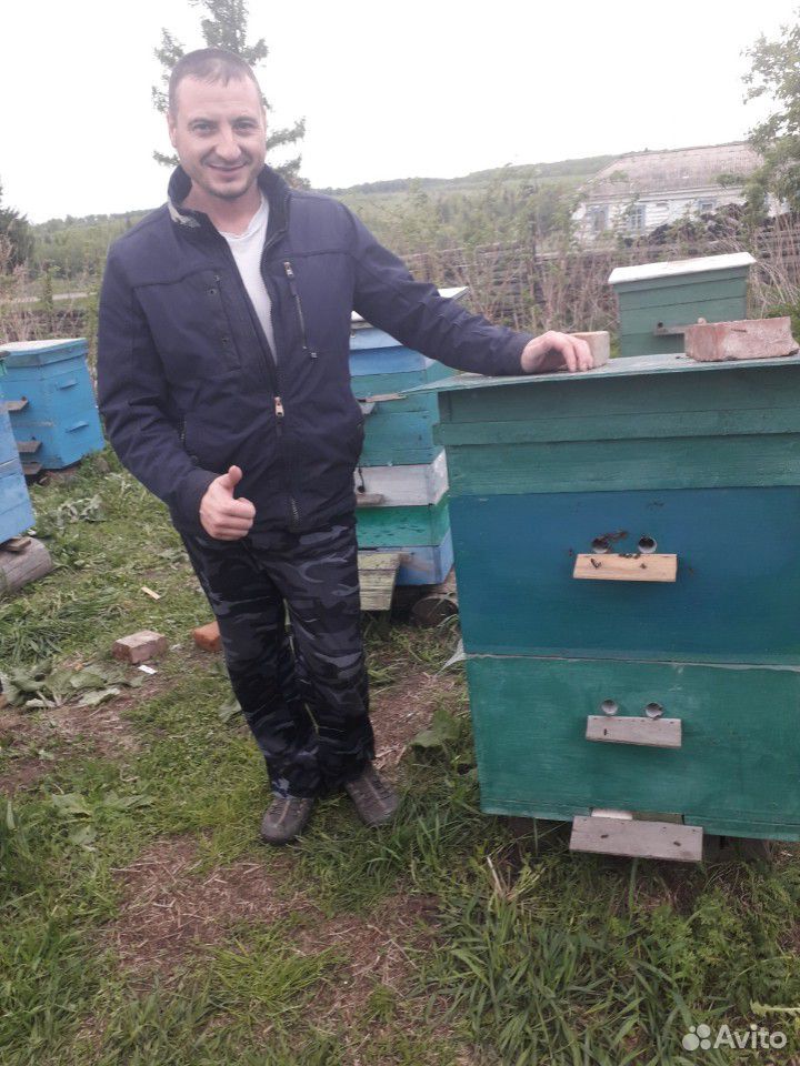 Продам пчелосемьи купить на Зозу.ру - фотография № 7