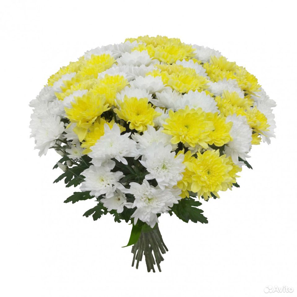 Букет из желтой и белой хризантемы купить на Зозу.ру - фотография № 1
