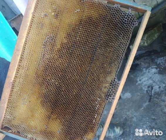 Сушь для пчел (рамка Рута, на 230) купить на Зозу.ру - фотография № 1