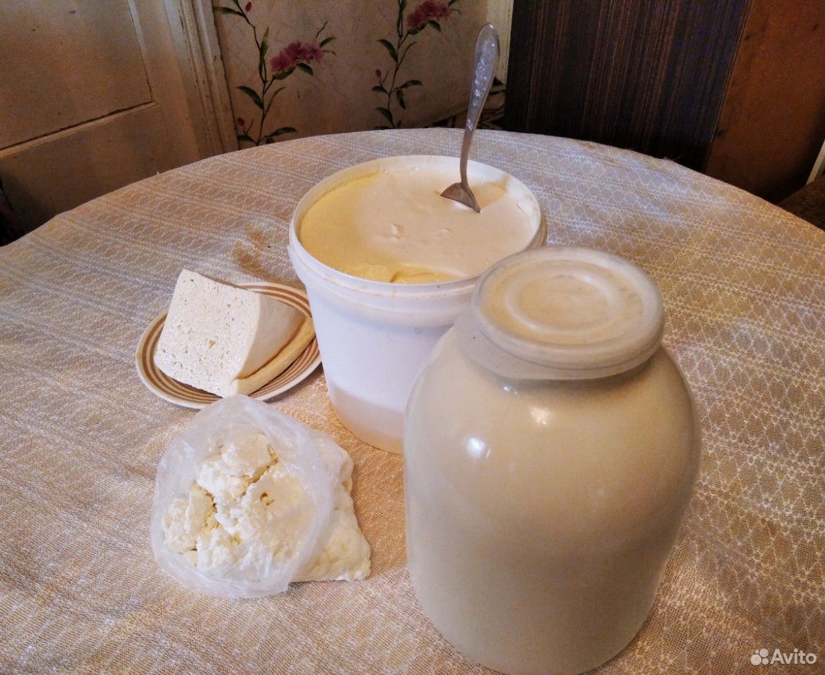 Молоко,сметана,творог,сыр купить на Зозу.ру - фотография № 3