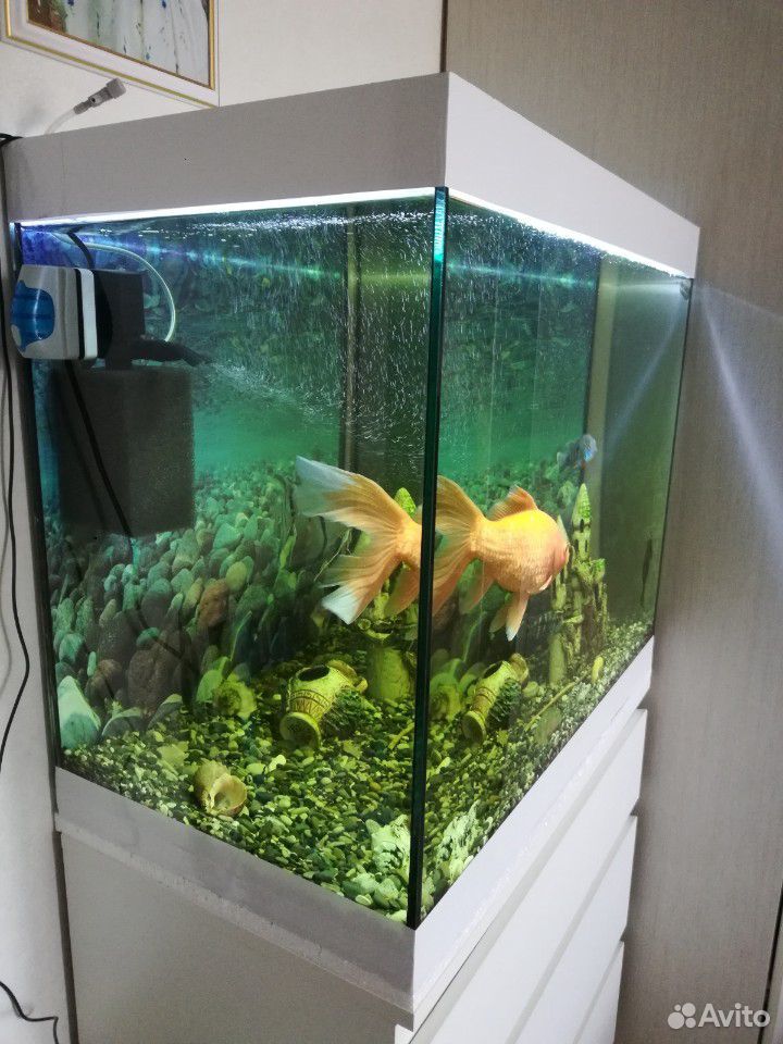 Красивый Аквариум с рыбками 170 литров купить на Зозу.ру - фотография № 2