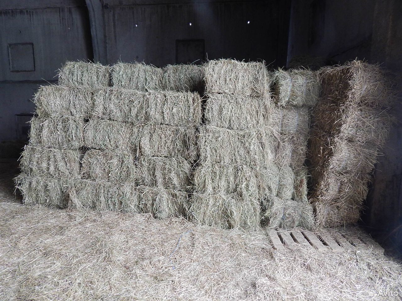 Где найти сено. Сено тюкованное / 1 тюк = 20 кг. Солома пшеничная тюк (20 кг). Солома пшеничная тюк (10-12 кг). Тюк сена 30 кг.