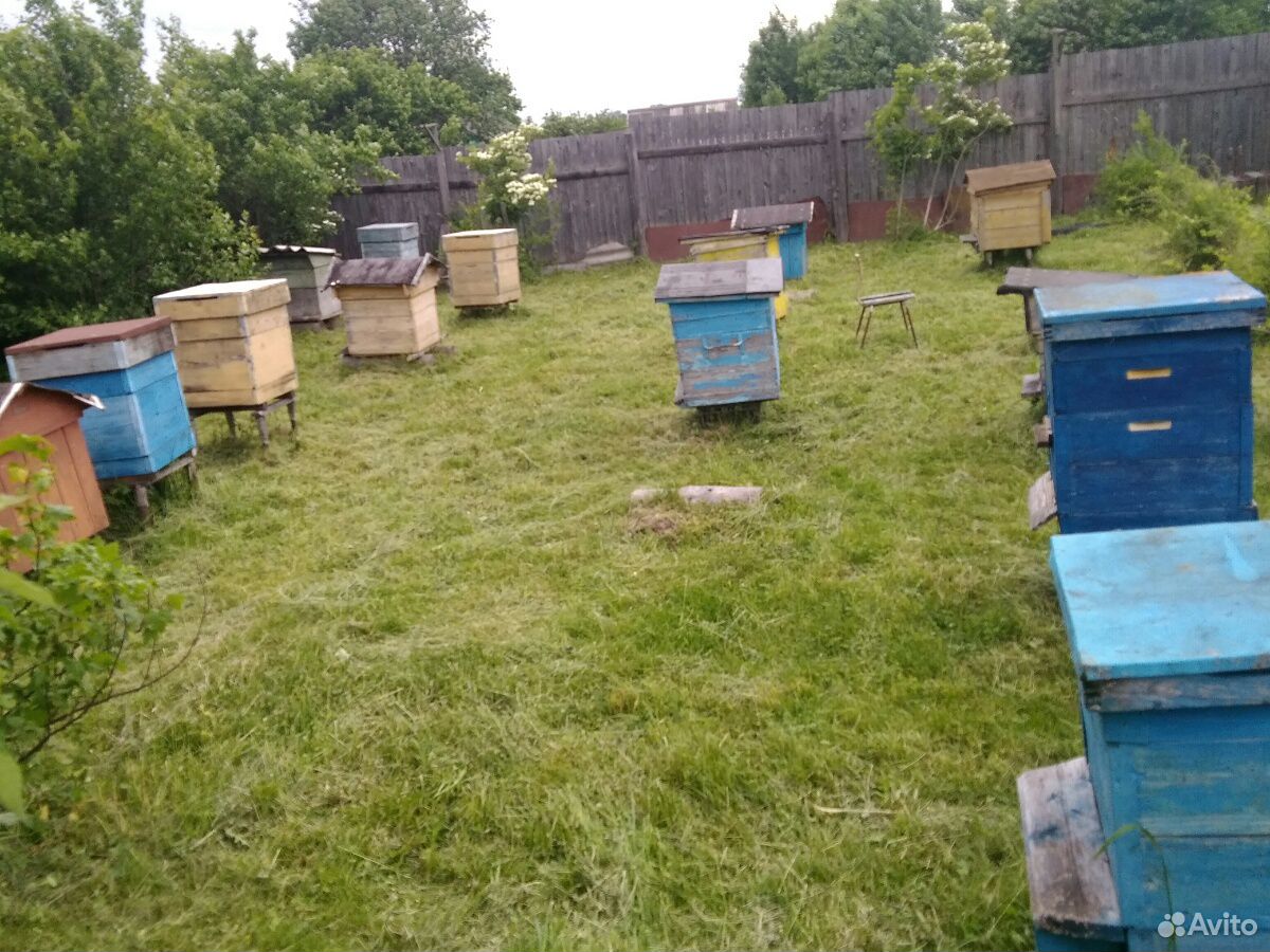 Инвентарь для пчеловодства купить на Зозу.ру - фотография № 2