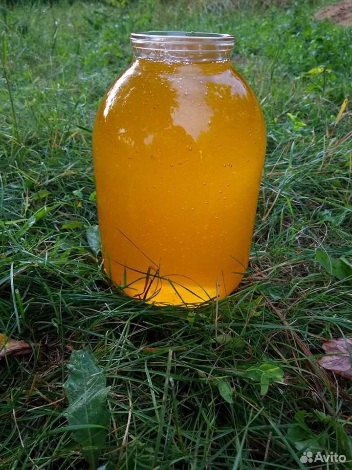 Продам мёд цветочный купить на Зозу.ру - фотография № 1