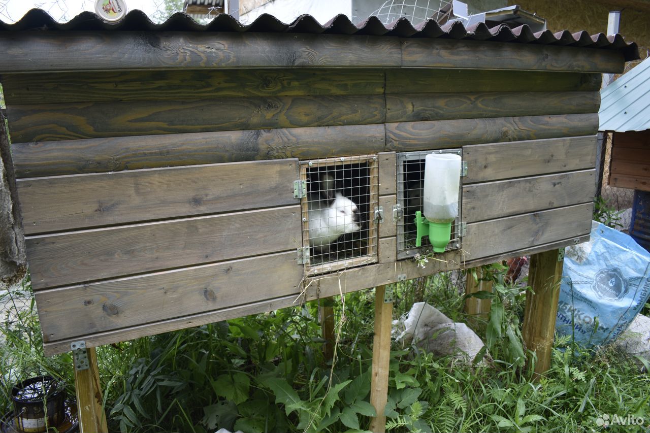 Кролики с клетками купить на Зозу.ру - фотография № 3