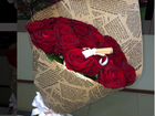 Розы красные 21 шт Explorer Эквадор объявление продам