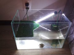 Аквариум для черепах (свет, фильтр )