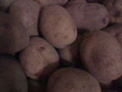 Картофель домашний и семенная без нитратов