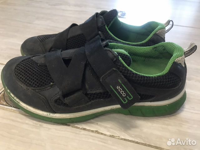 ecco 33