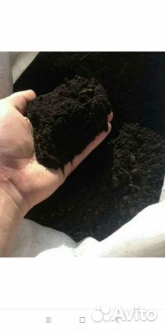 Чернозем лесной перегной. Песок речной. дрова