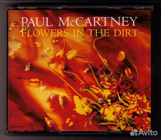 Paul McCartney 