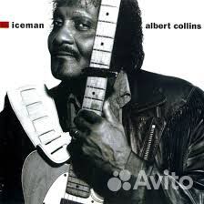 Albert Collins 