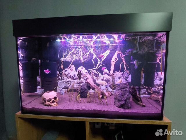 Аквариум