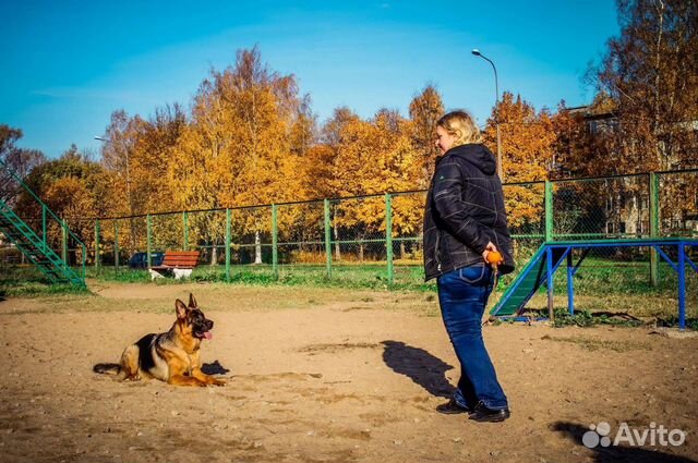 Кинолог, инструктор по дрессировке