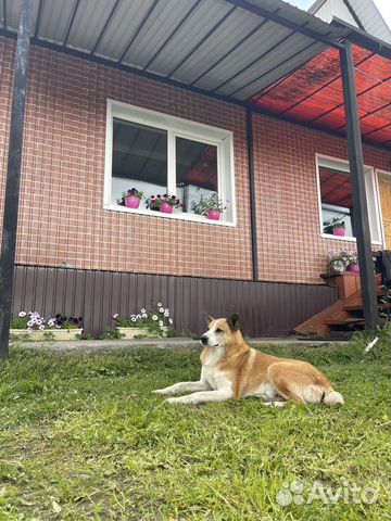

Дом 140 м² на участке 15 сот.