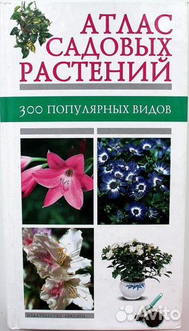 Сад и огород. Цветы. Лекарственные растения Сад и огород. Цветы. Лекарственные растения