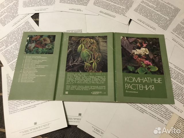 Комнатные растения. 3 разных комплекта СССР