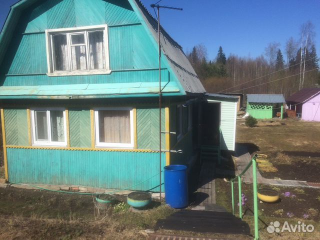 Авито петрозаводск частные объявления. Падозеро дача лучевое. Дача в Лучевом недорогое. Авито Петрозаводск. Авито Петрозаводск недвижимость.