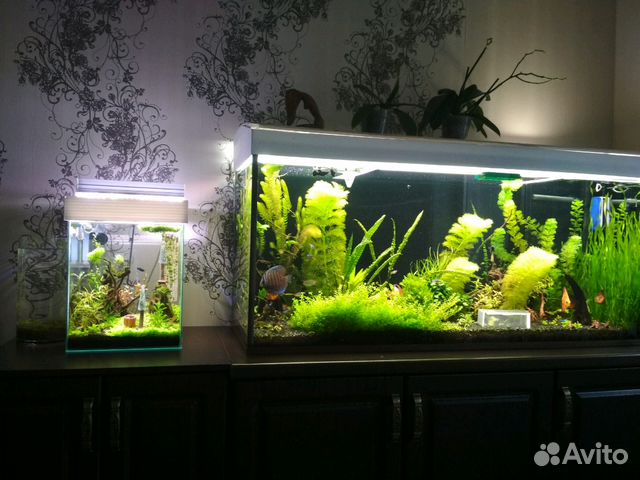 Светильники для аквариума любой длинны и мощности купить на Зозу.ру - фотография № 1