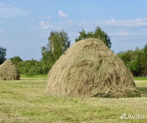 Сено свежего укоса 2019