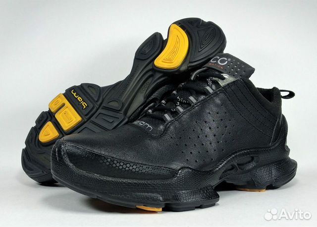 Ecco biom C