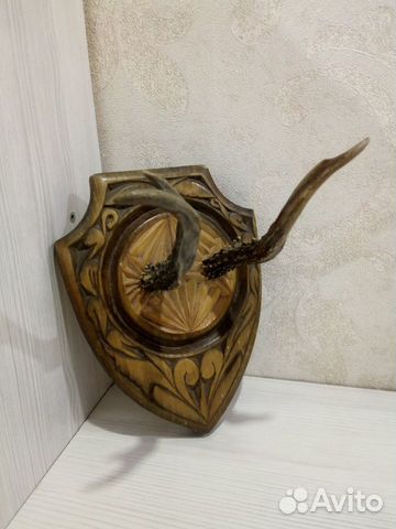 Рога Косули