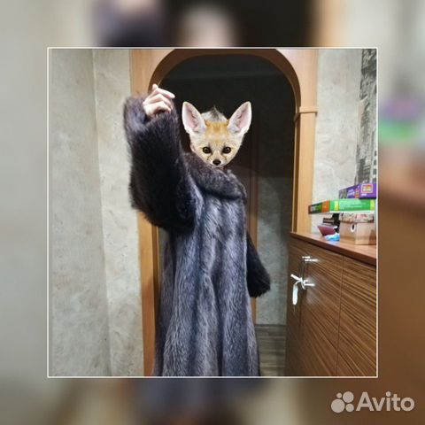 Шуба Шуба