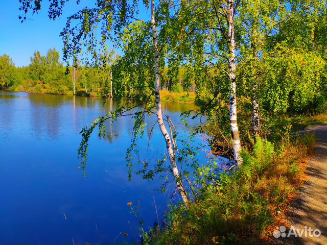 Участок 6 сот. (СНТ, ДНП) Участок 6 сот. (СНТ, ДНП)