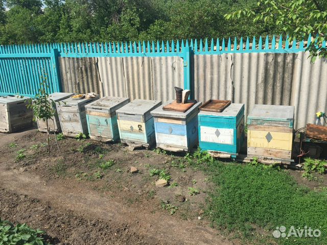 Продам пчеловодческий прицеп купить на Зозу.ру - фотография № 1