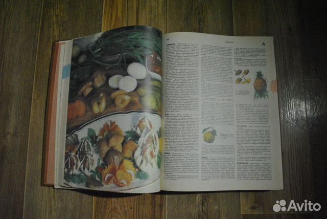 Краткая энциклопедия домашнего хозяйства 1984 Краткая энциклопедия домашнего хозяйства 1984