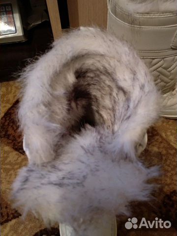 Сапоги Сапоги