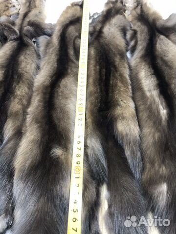 Шкуры соболя Шкуры соболя