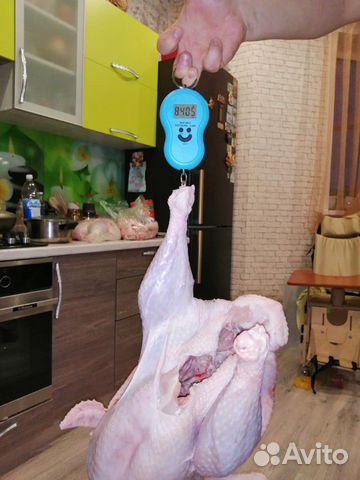 Индейка мясо индюшатина Индейка мясо индюшатина