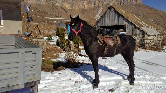 Пельмени Березовские В Челябинске Купить Адреса