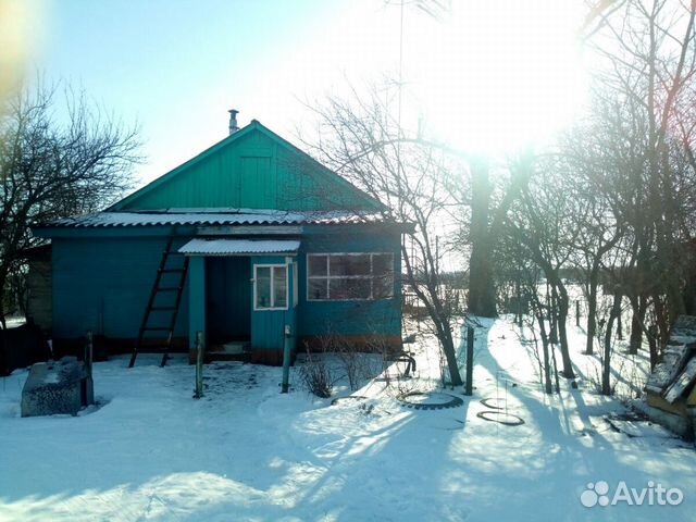 Село александро невское. Просечье. Гореловы просечье рязанская область. Просечье рязанская область. Жители села.