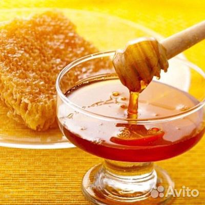 Мёд Горной Шории/Прополис/Перга