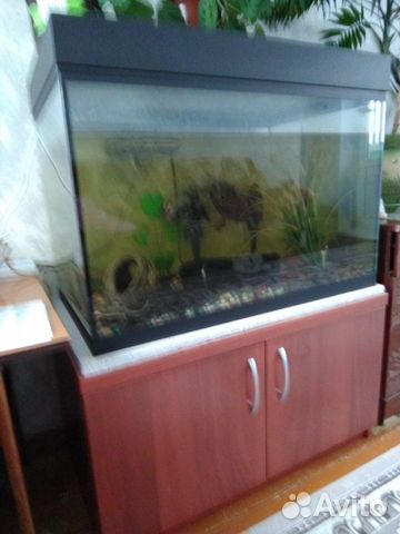 Продаю аквариум 200 литров купить на Зозу.ру - фотография № 8