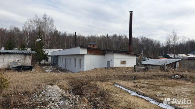 Помещение свободного назначения, 1300 м²