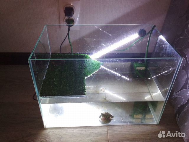 Аквариум для черепах (свет, фильтр ) купить на Зозу.ру - фотография № 1